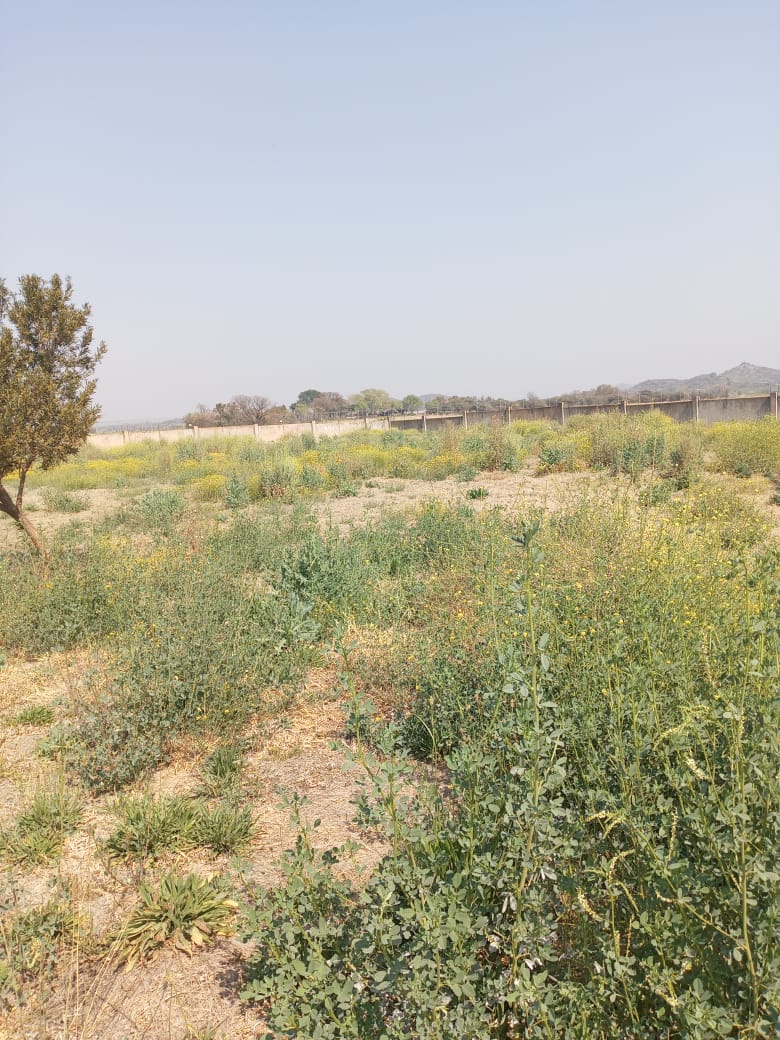 0 Bedroom Property for Sale in Brits North West